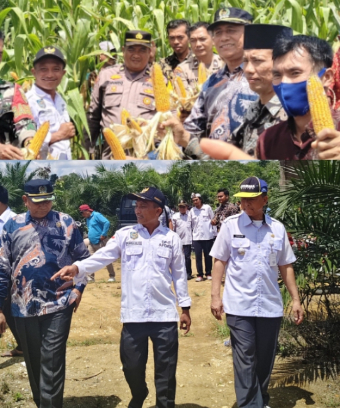 BUMDes Bukit Bumi Raya Luncurkan Program Unggulan, Wujudkan Desa Mandiri dan Sejahtera