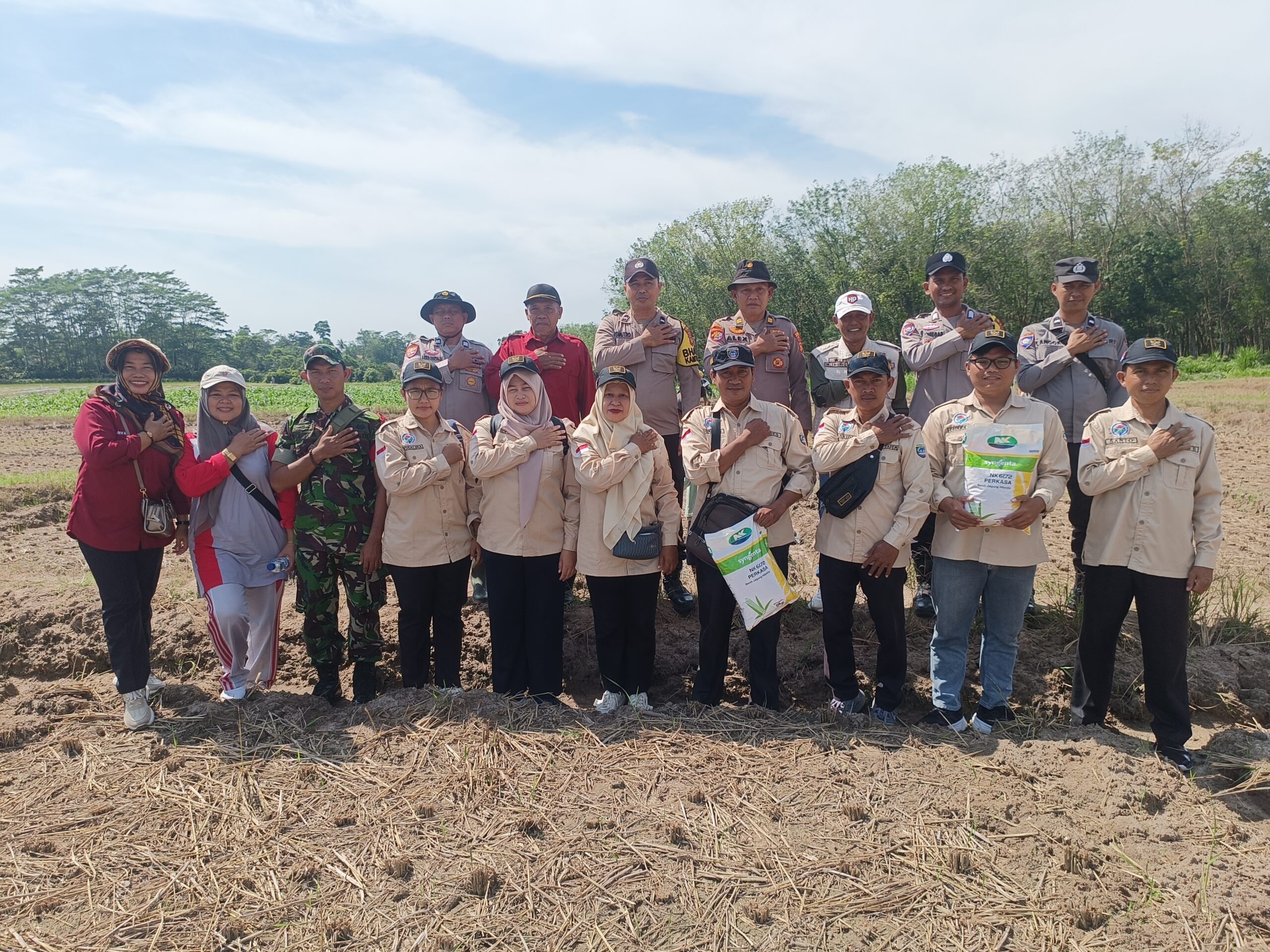 Kegiatan Penanaman Jagung 1 Desa 1 Hektar Desa Tegalrejo, Polsek Belitang